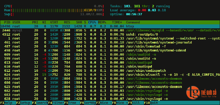 Htop 2.0 – Công cụ giám sát hoạt động trên Linux
