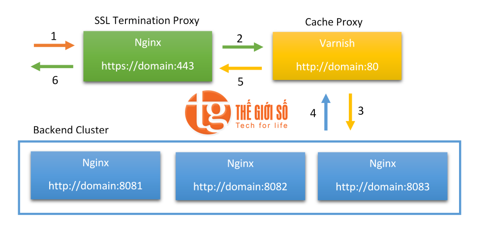 Sử dụng HTTPS với Varnish