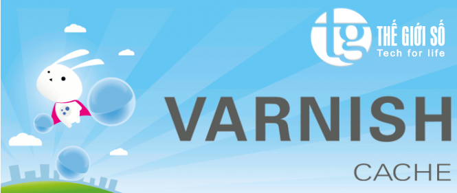 Chống DDoS với Varnish